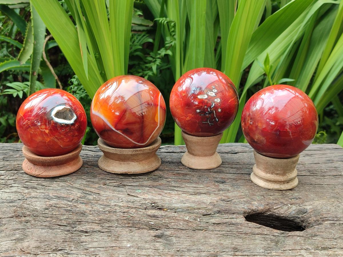 Polished Carnelian Agate Gemstone Spheres x 4 From Madagascar