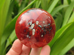 Polished Carnelian Agate Gemstone Spheres x 4 From Madagascar