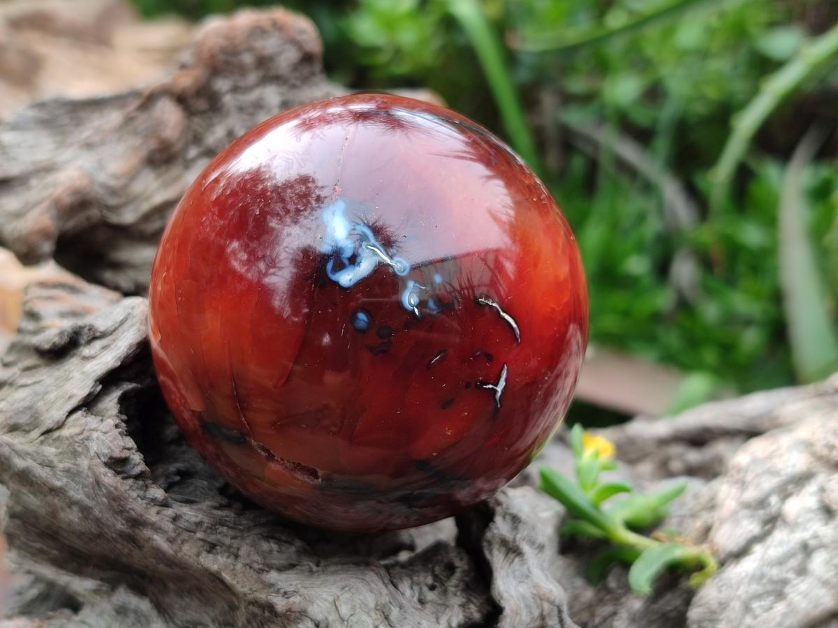 Polished Carnelian Agate Gemstone Spheres x 4 From Madagascar