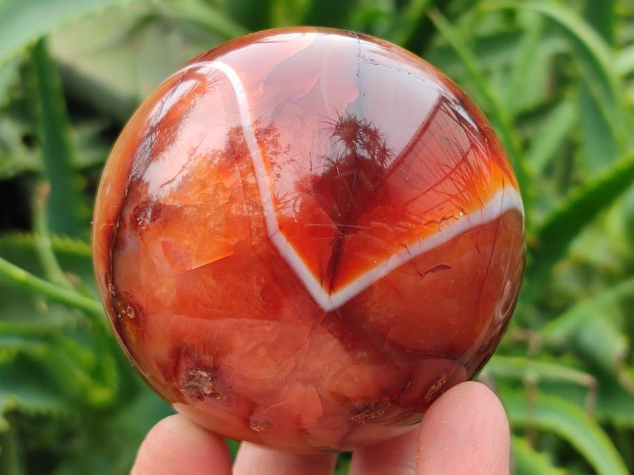Polished Carnelian Agate Gemstone Spheres x 4 From Madagascar