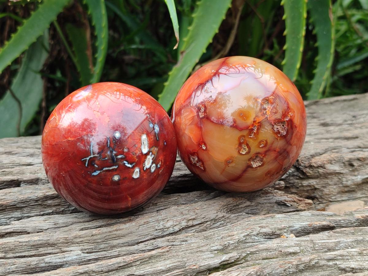 Polished Carnelian Agate Gemstone Spheres x 4 From Madagascar