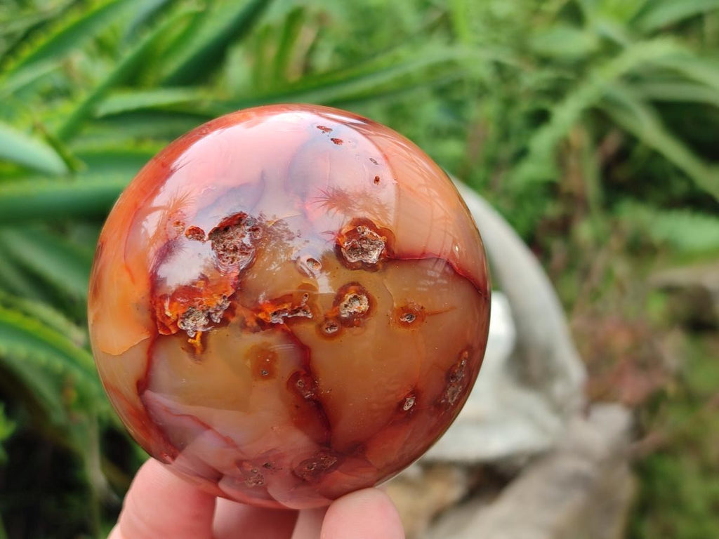 Polished Carnelian Agate Gemstone Spheres x 4 From Madagascar