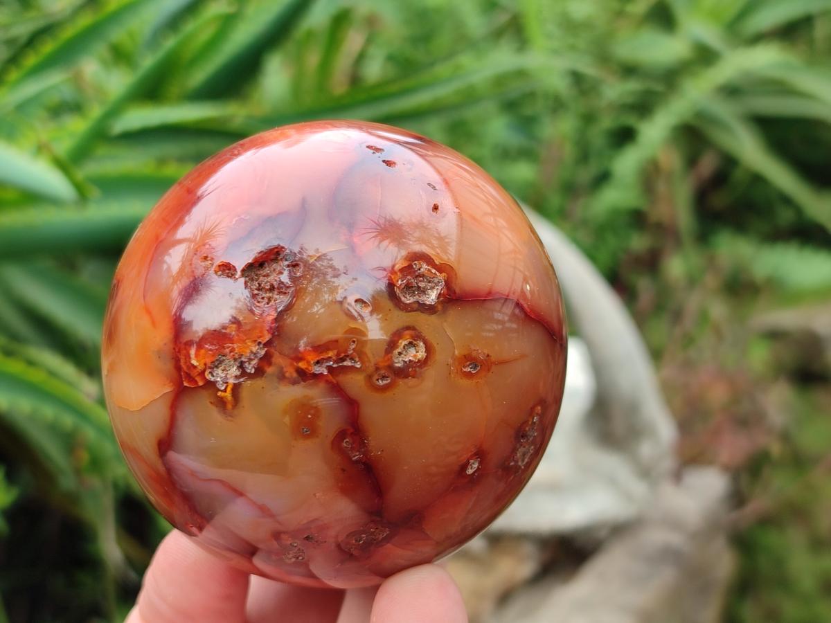 Polished Carnelian Agate Gemstone Spheres x 4 From Madagascar