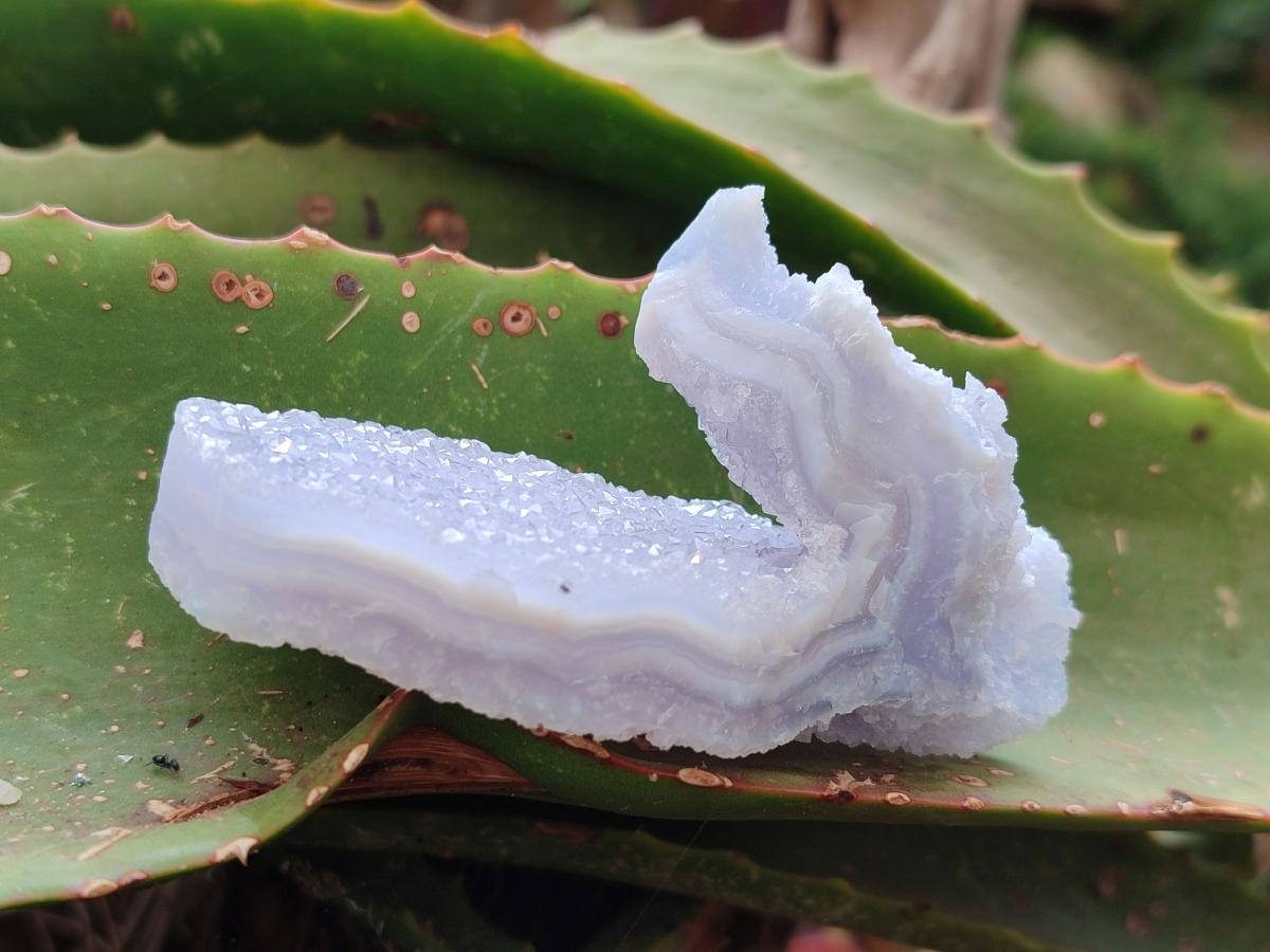 Natural Etched Blue Chalcedony Geodes x 12 From Nsanje, Malawi