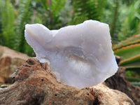 Natural Etched Blue Chalcedony Geodes x 12 From Nsanje, Malawi