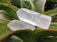 Polished Pearl Girasol Quartz Crystals x 12 From Ambatondrazaka, Madagascar