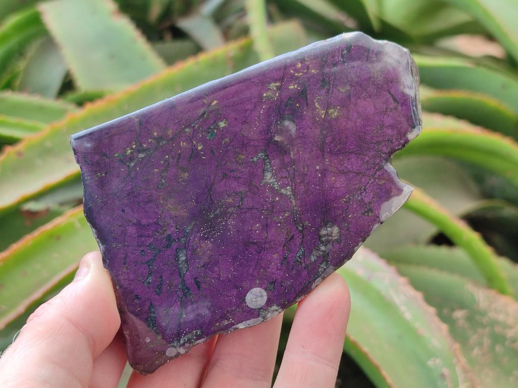 Polished Metallic Purpurite Specimens x 4 From Erongo, Namibia