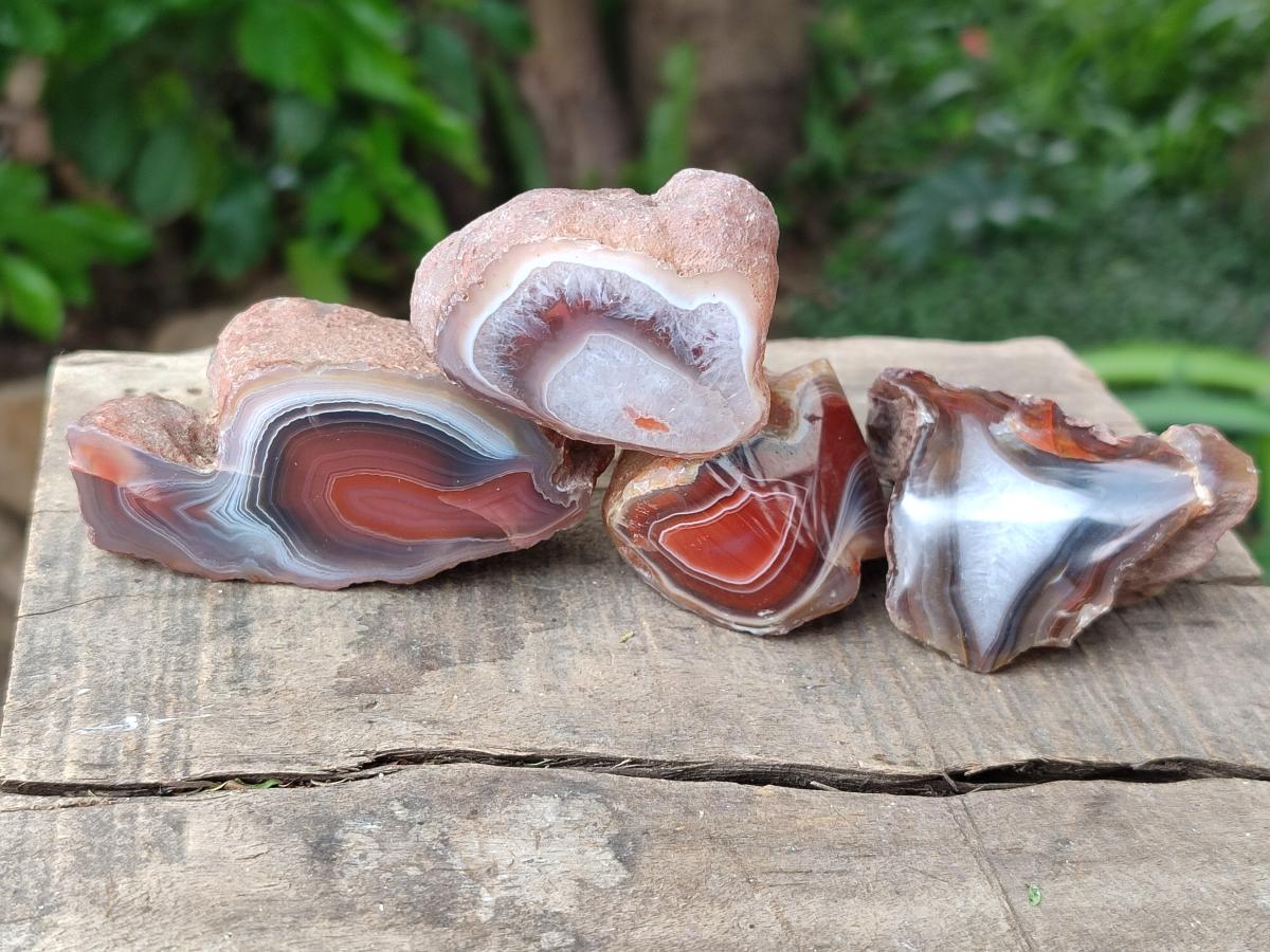 Polished On One Side Red Shashe River Agate Nodules x 35 From Shashe River, Zimbabwe