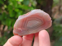 Polished On One Side Red Shashe River Agate Nodules x 35 From Shashe River, Zimbabwe