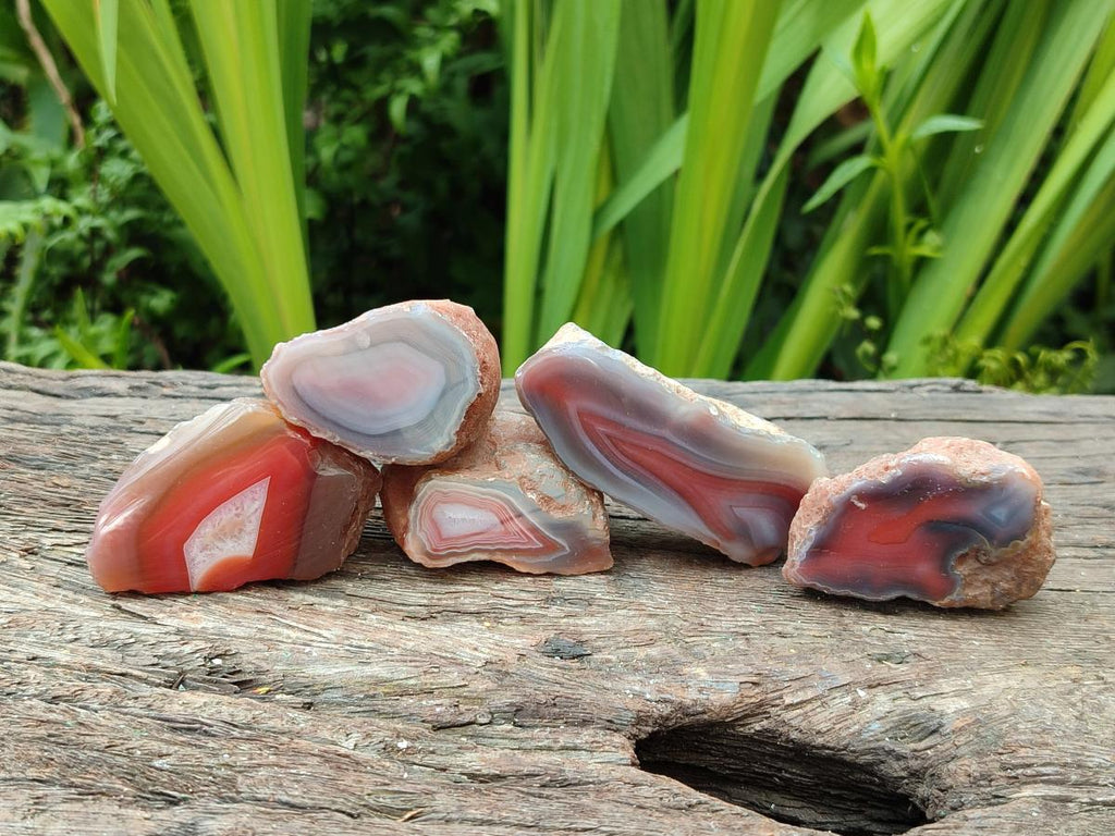 Polished On One Side Red Shashe River Agate Nodules x 35 From Shashe River, Zimbabwe
