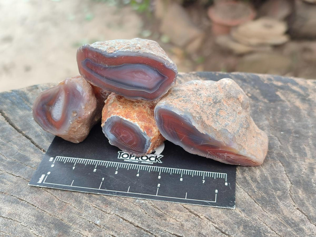 Polished On One Side Red Shashe River Agate Nodules x 35 From Shashe River, Zimbabwe