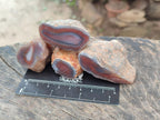 Polished On One Side Red Shashe River Agate Nodules x 35 From Shashe River, Zimbabwe