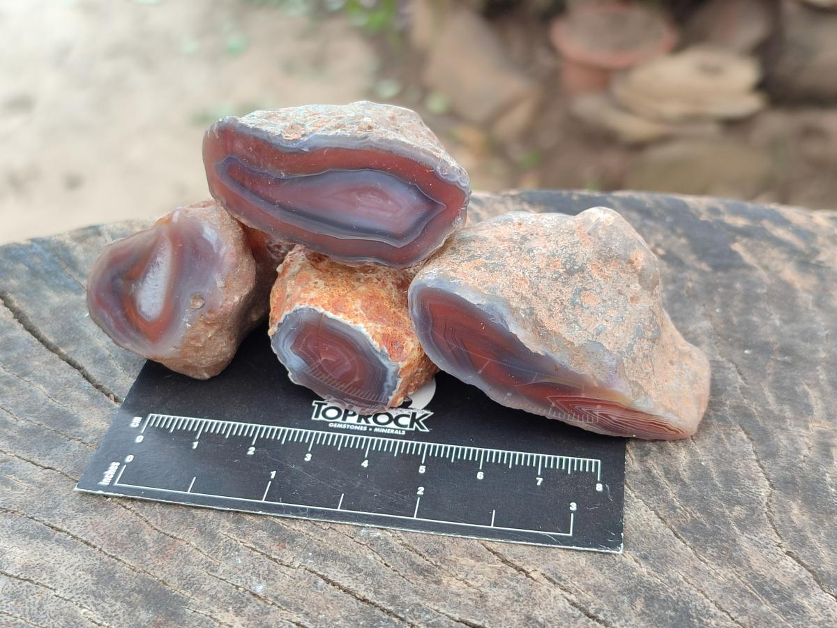Polished On One Side Red Shashe River Agate Nodules x 35 From Shashe River, Zimbabwe