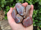 Polished On One Side Red Shashe River Agate Nodules x 35 From Shashe River, Zimbabwe