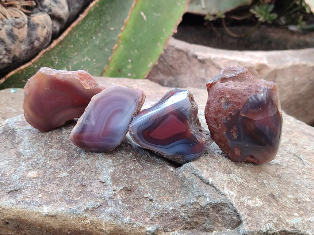 Polished On One Side Red Shashe River Agate Nodules x 35 From Shashe River, Zimbabwe