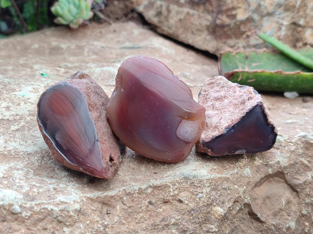 Polished On One Side Red Shashe River Agate Nodules x 35 From Shashe River, Zimbabwe