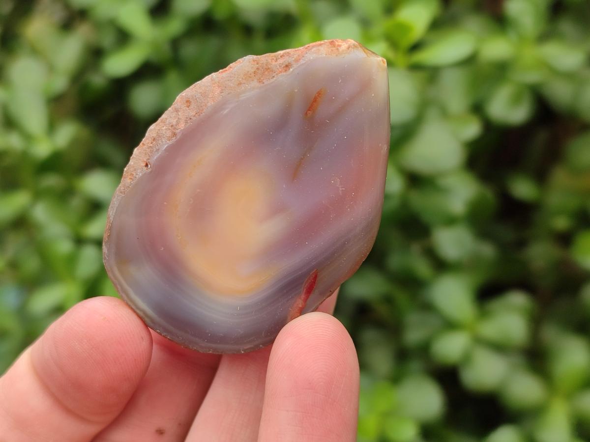 Polished On One Side Red Shashe River Agate Nodules x 35 From Shashe River, Zimbabwe