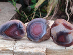 Polished On One Side Red Shashe River Agate Nodules x 35 From Shashe River, Zimbabwe
