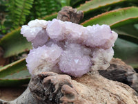 Natural Sunburst Amethyst Spirit Clusters x 2 From Boekenhouthoek, South Africa