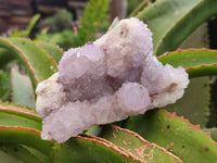 Natural Sunburst Amethyst Spirit Clusters x 2 From Boekenhouthoek, South Africa