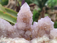 Natural Sunburst Amethyst Spirit Clusters x 2 From Boekenhouthoek, South Africa