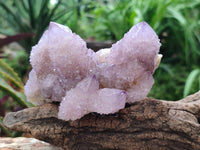 Natural Sunburst Amethyst Spirit Clusters x 2 From Boekenhouthoek, South Africa