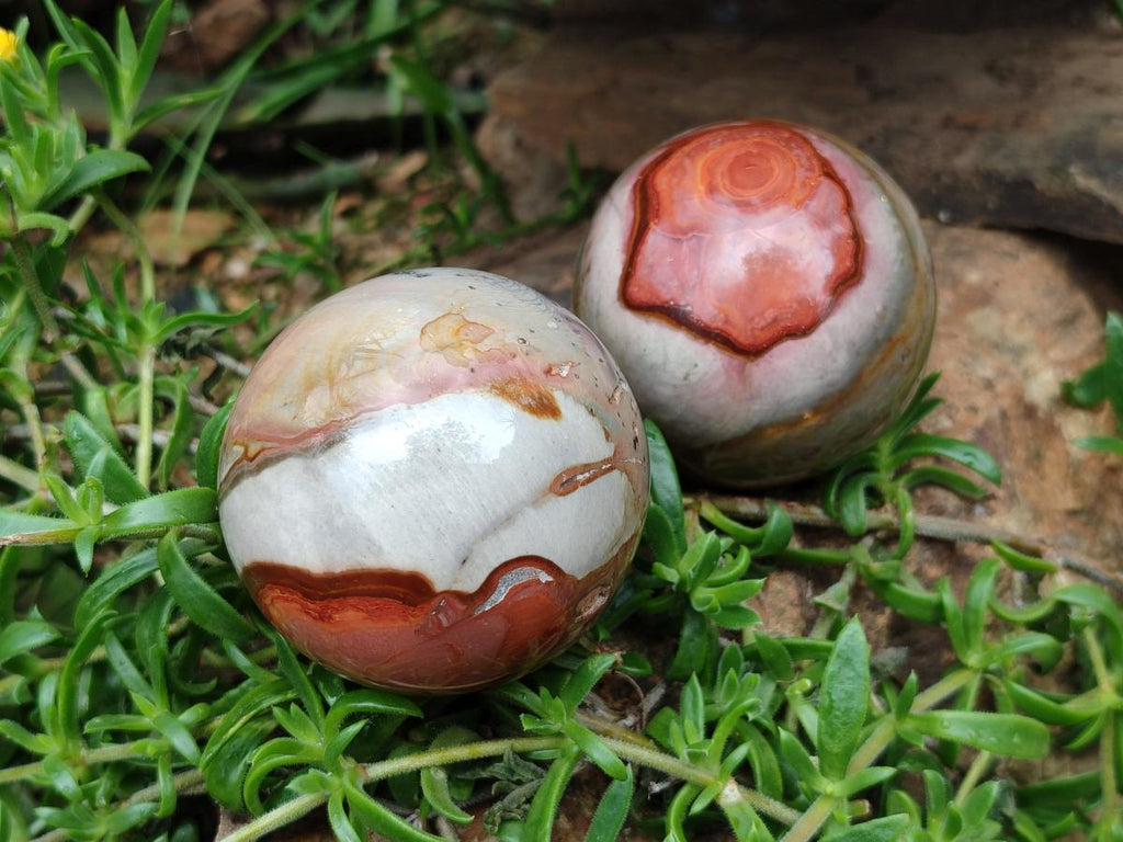 Polished Polychrome Jasper Spheres x 6 From NW Coast, Madagascar