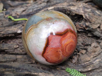 Polished Polychrome Jasper Spheres x 6 From NW Coast, Madagascar