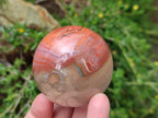 Polished Polychrome Jasper Spheres x 6 From NW Coast, Madagascar