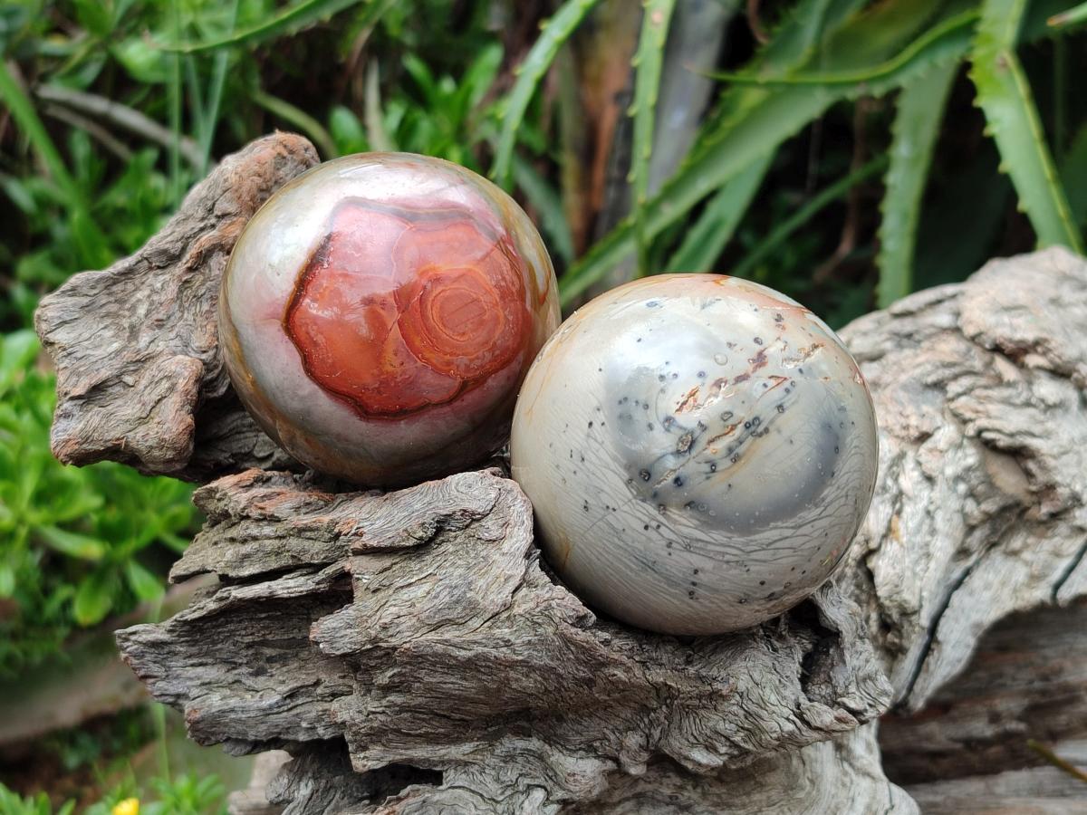 Polished Polychrome Jasper Spheres x 6 From NW Coast, Madagascar