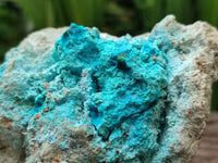 Natural Blue Drusy Coated Chrysocolla in Dolomite Matrix x 4 From Lupoto Mine, Congo