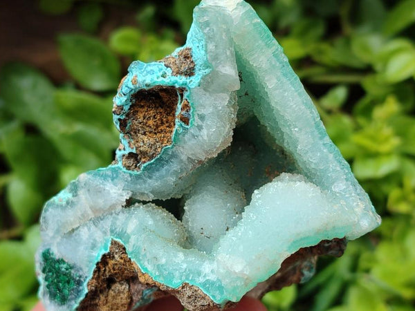 Natural Blue Drusy Coated Chrysocolla in Dolomite Matrix x 4 From Lupoto Mine, Congo