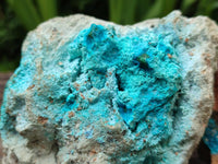 Natural Blue Drusy Coated Chrysocolla in Dolomite Matrix x 4 From Lupoto Mine, Congo