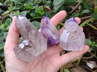 Polished Smokey Amethyst Window Quartz Crystals x 6 From Akansobe, Madagascar