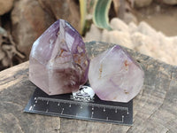 Polished Smokey Amethyst Window Quartz Crystals x 6 From Akansobe, Madagascar
