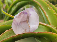 Polished Smokey Amethyst Window Quartz Crystals x 6 From Akansobe, Madagascar