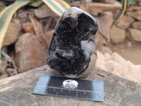 Polished Septerye Sauvage "Dragons Egg" Geodes with Calcite Crystalline Centres x 6 From Mahajanga, Madagascar