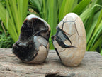 Polished Septerye Sauvage "Dragons Egg" Geodes with Calcite Crystalline Centres x 6 From Mahajanga, Madagascar