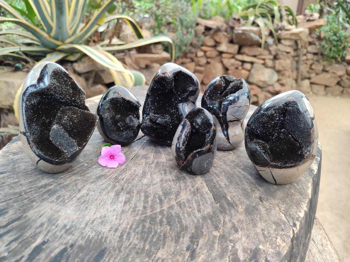 Polished Septerye Sauvage "Dragons Egg" Geodes with Calcite Crystalline Centres x 6 From Mahajanga, Madagascar