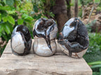Polished Septerye Sauvage "Dragons Egg" Geodes with Calcite Crystalline Centres x 6 From Mahajanga, Madagascar