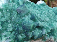 Natural XL Green Fluorite Specimen x 1 From Mandrosonoro, Madagascar