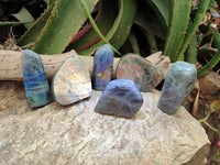 Polished Labradorite Standing Free Forms x 6 From Tulear, Madagascar