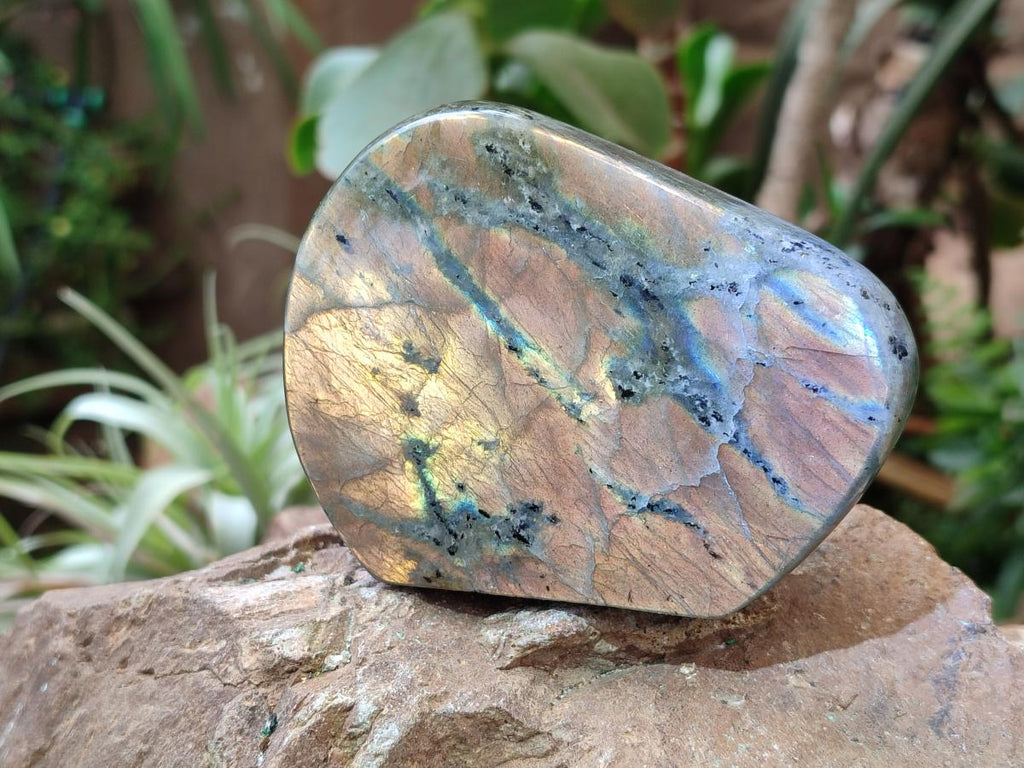 Polished Labradorite Standing Free Forms x 6 From Tulear, Madagascar