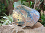 Polished Labradorite Standing Free Forms x 6 From Tulear, Madagascar