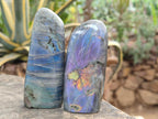 Polished Labradorite Standing Free Forms x 6 From Tulear, Madagascar