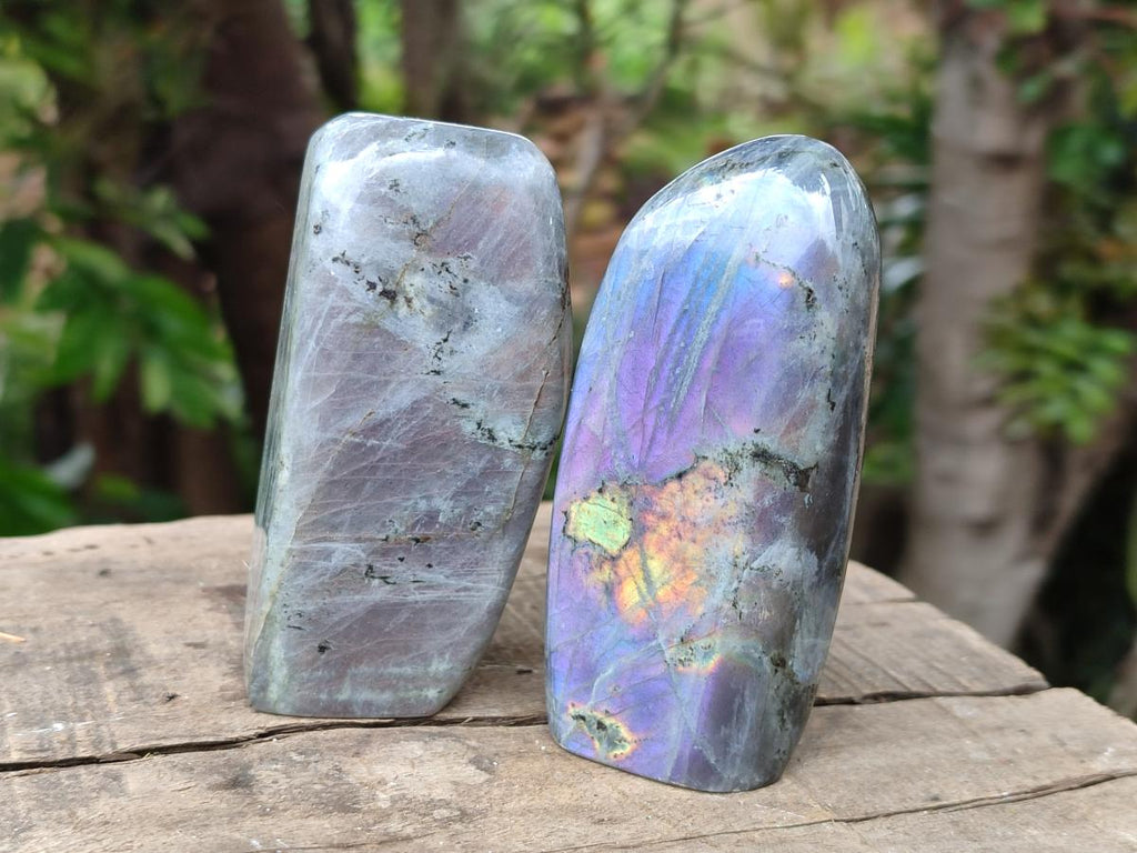 Polished Labradorite Standing Free Forms x 6 From Tulear, Madagascar