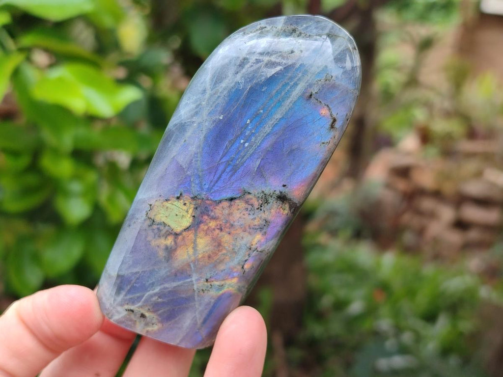 Polished Labradorite Standing Free Forms x 6 From Tulear, Madagascar