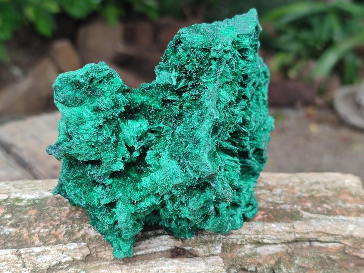 Natural Silky Malachite Specimens x 3 From Kasompe, Congo