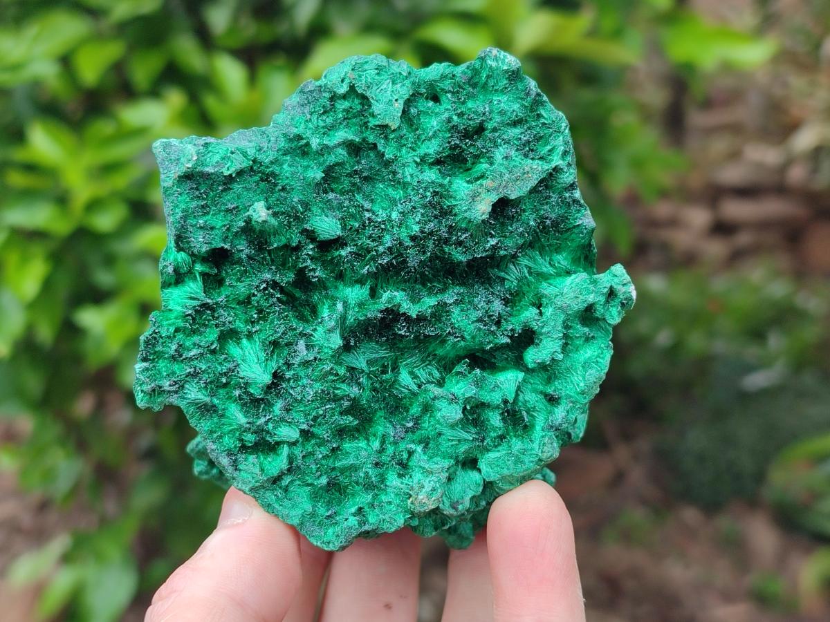 Natural Silky Malachite Specimens x 3 From Kasompe, Congo