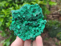 Natural Silky Malachite Specimens x 3 From Kasompe, Congo